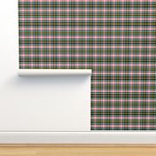 plaid2