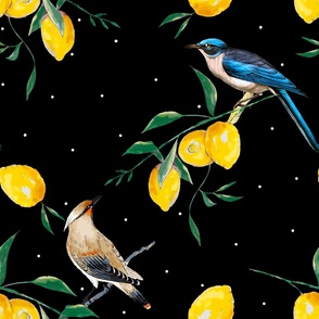 Summer, citrus ,lemon fruit,birds pattern 