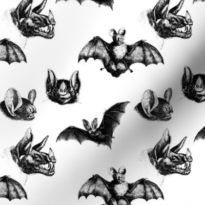 black and white bat gothic