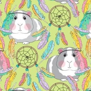 large guinea pigs and dreamcatchers on green