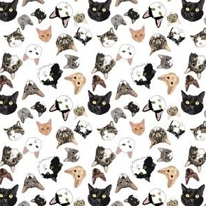Moggy Mural Pattern