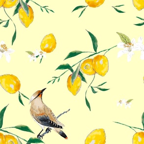 Summer, citrus ,lemon fruit,birds pattern 