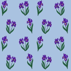 Irises scattered 
