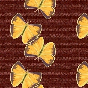 Yellow Butterfly Columns on Red Denim Look