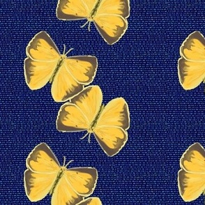 Yellow Butterfly Columns on Blue Denim Look