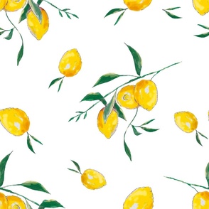 Summer, citrus ,lemon fruit