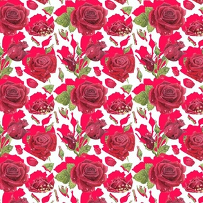 Rose Compilation Layered Pattern
