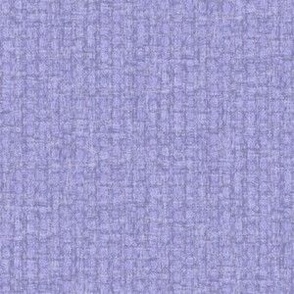 Solid Purple Plain Purple Distressed Texture Seed Pattern Grunge Lilac Light Purple Lavender A6A3DE Fresh Modern Abstract Geometric