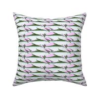 Tarpon School Pattern on pink