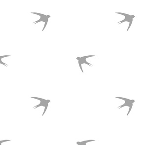 Swallow bird ,grey pattern 