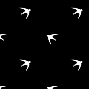 Swallow birds,bird pattern