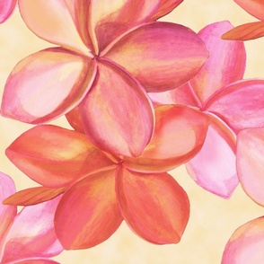 double-blush-plumeria-on-creme