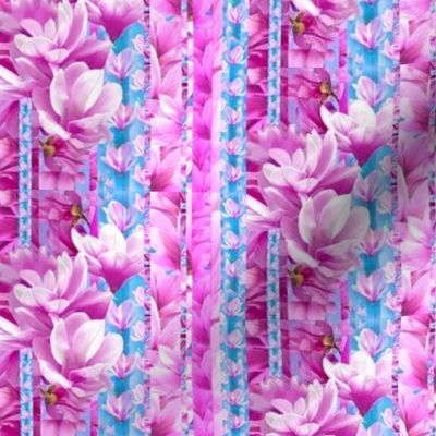 pink magnolia stripes blue background