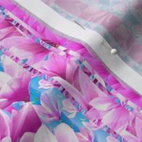 pink magnolia stripes blue background