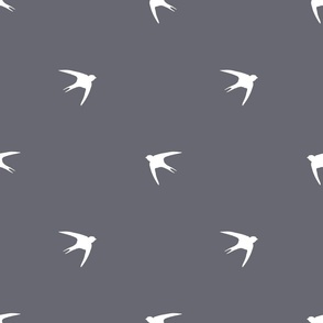 Swallow birds,bird pattern,grey background 