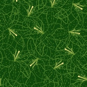 Tiger Lily Line Art - Dark Green