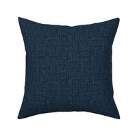 Solid Blue Plain Blue Distressed Texture Seed Pattern Grunge Navy Blue Dark Blue Gray 29384C Subtle Modern Abstract Geometric