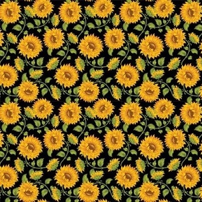 sunflowers on black
