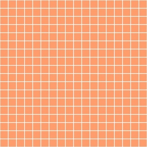 Cute checks white on orange