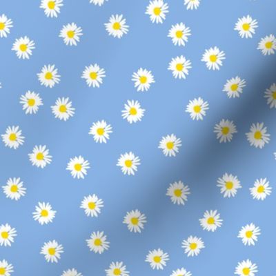 Daisies on periwinkle