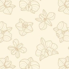 Two-Tone Orchid Creme