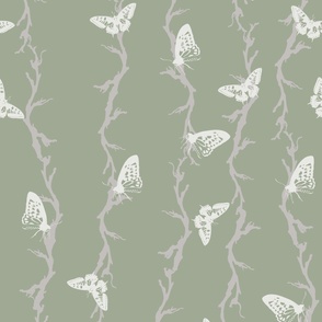 butterfly vine wallpaper // sage