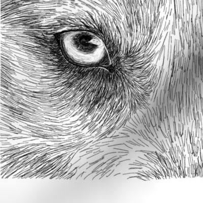 Wolf eyes repeat pattern.