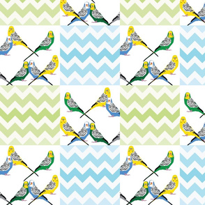 chevron-parakeets-multi