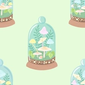 Spring Mushroom Terrariums