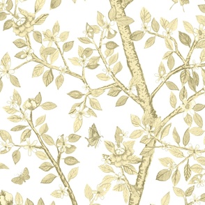 Gold Flax on White Elsie's Garden copy