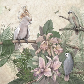 Cockatoo Dreams Tropical Birds