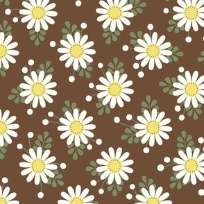 Boho Daisies