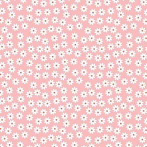 Daisies on Pink