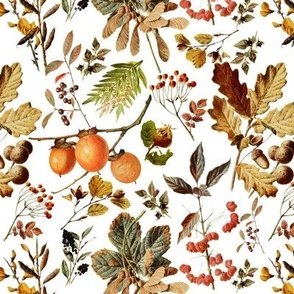 vintage botanical autumn-small