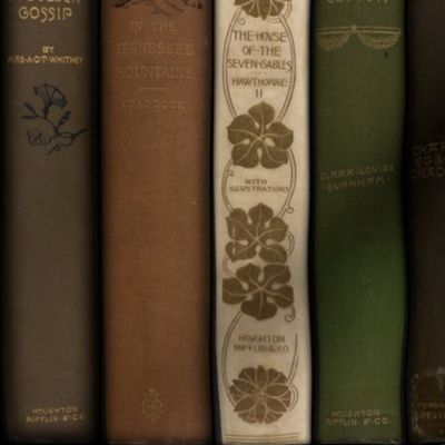 Madame Fancypantaloons' Instant Library Bindings