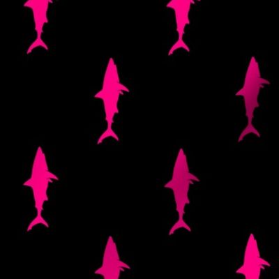 sharks (pink on black) - (90) C22