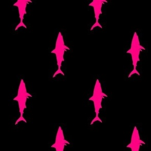 sharks (pink on black) - (90) C22