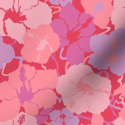 Hawaiian Hibiscus Floral in Orchid Coral