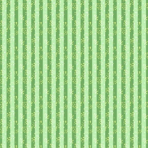 Sun-kissed coordinate green stripes small