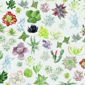 Watercolor Succulents in Pale Blue