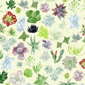 Watercolor Succulents in Pale Green