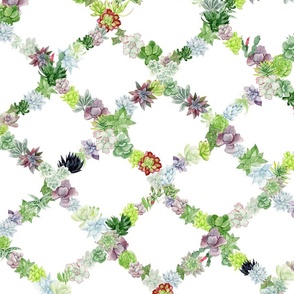 Succulent Trellis Design in White