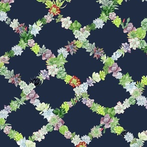 Succulent Trellis Design in Navy