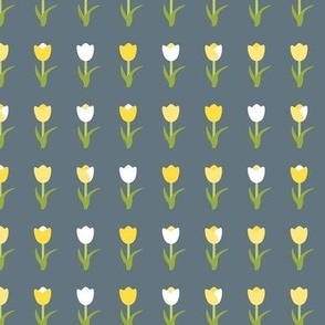 Yellow and Gray Tulips