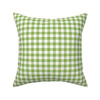greenery and white gingham, 1/2" squares 