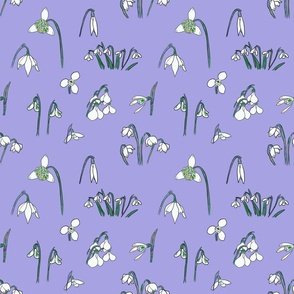 Snowdrop Varieties (purple)