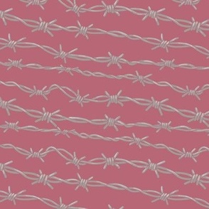 Highlighted Barbed Wire on Dusty Rose Pink