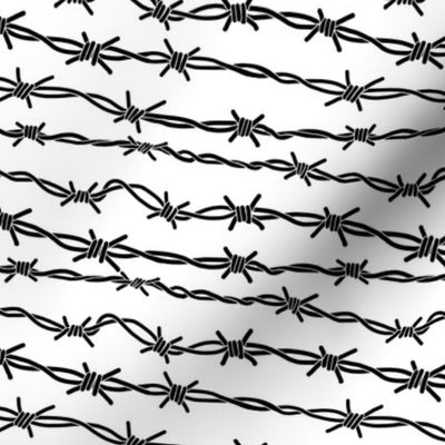 Black Barbed Wire on White