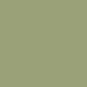 Light sage green, plain solid, BOHO Floral coordinate, hex code 9aa077
