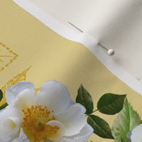 whiteandyellowroses-patt008